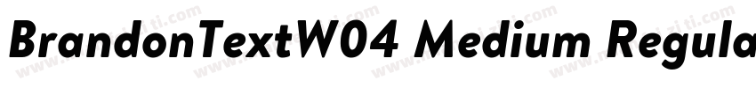 BrandonTextW04 Medium Regular字体转换